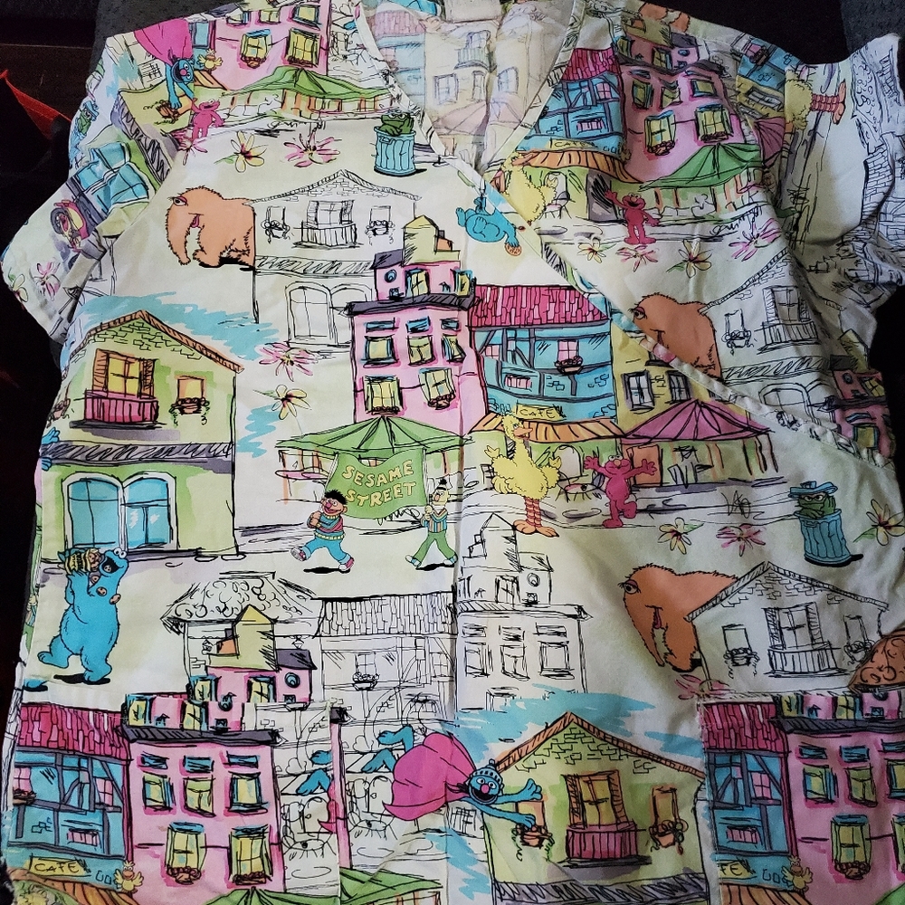 Fun Scrub top